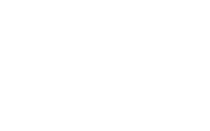 MR. PERFECT